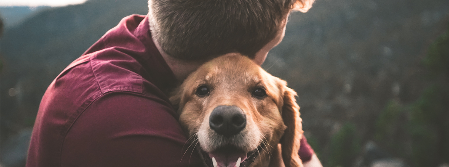 pet