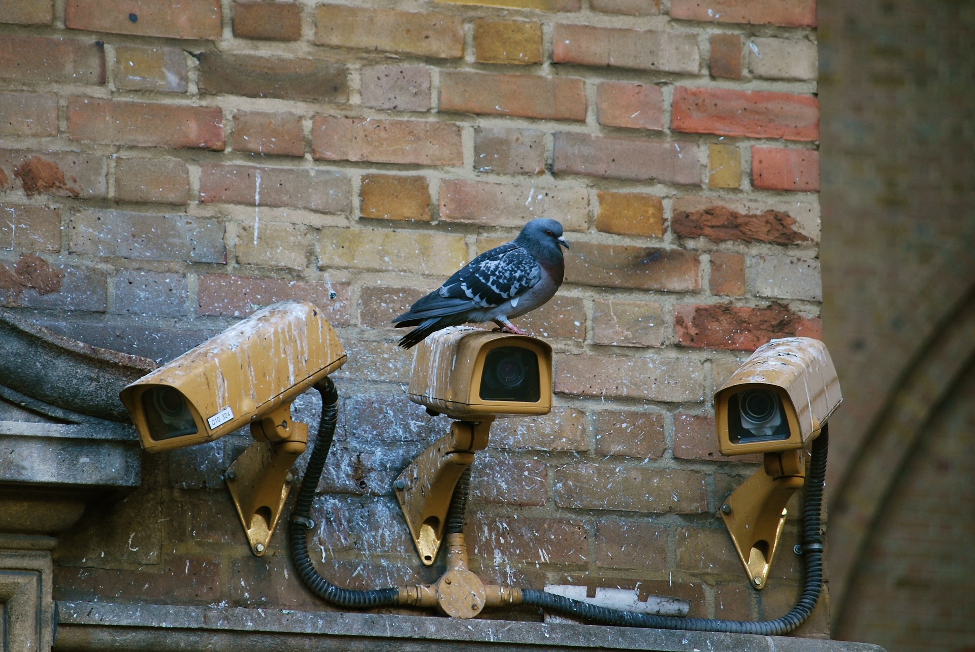 Vintage camera