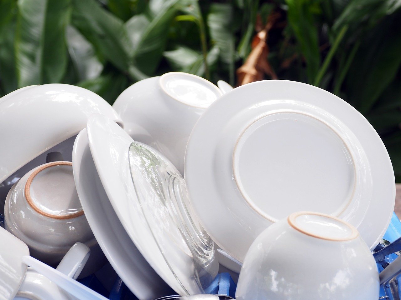 clean plates